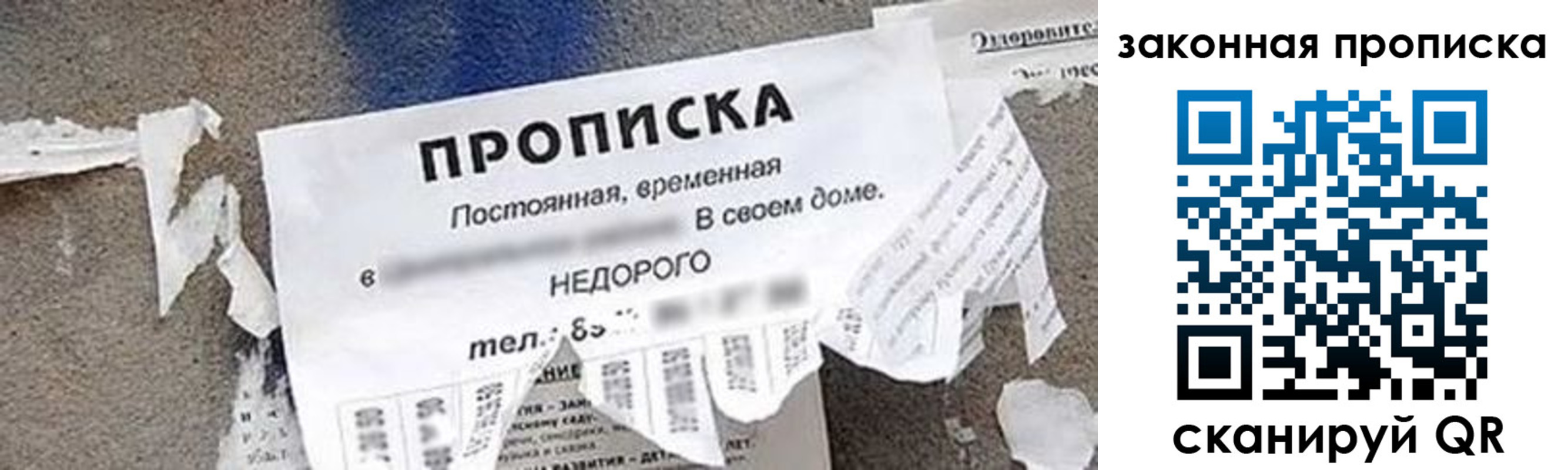 прописка иностранных граждан в Кингисеппе