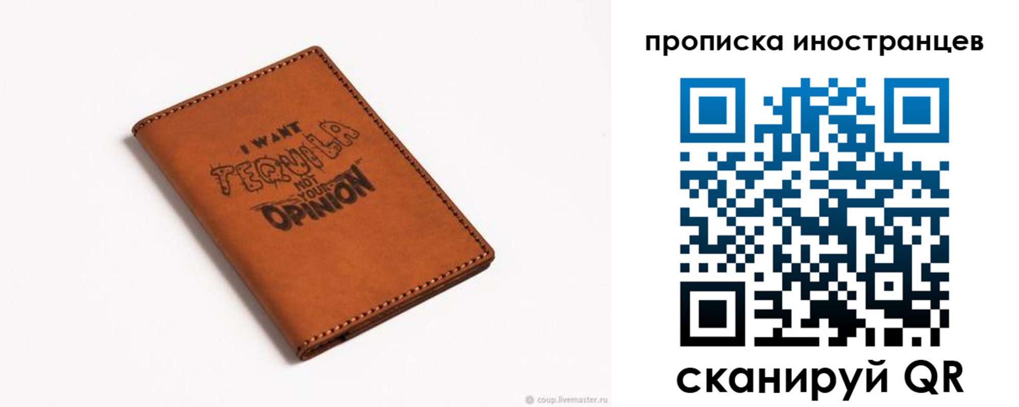 прописка поиск в Кингисеппе